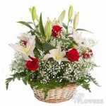 Flower delivery online Cape Town - Flower in a basket